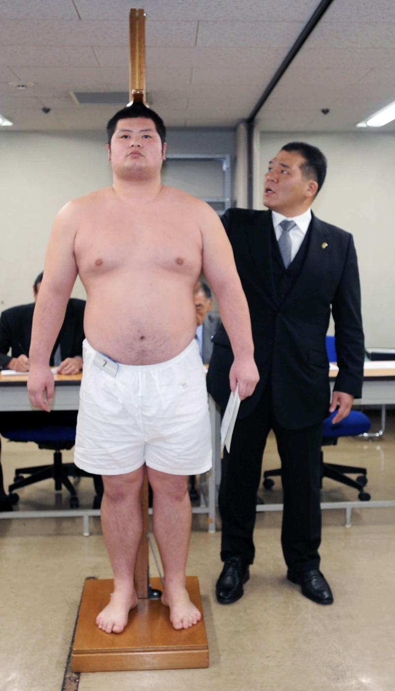 龍虎 相撲