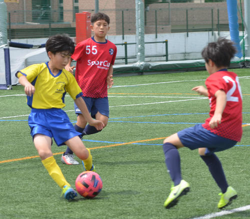 横浜かもめsc三瓶主将 自粛期間は家族練習で調整 スポーツその他写真ニュース 日刊スポーツ