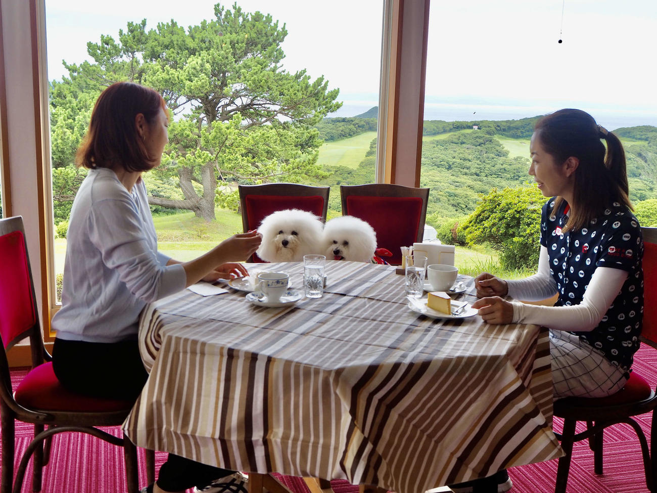 ティーラウンジ「カメリア」はゴルフ場や海を見ながらコーヒーやケーキが楽しめる。小型犬も同席可能