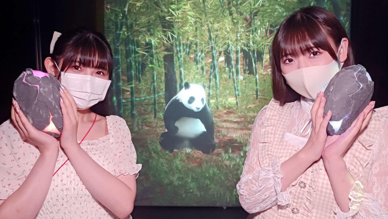 ZUKAN MUSEUM GINZAを楽しんだスイーツメロディ