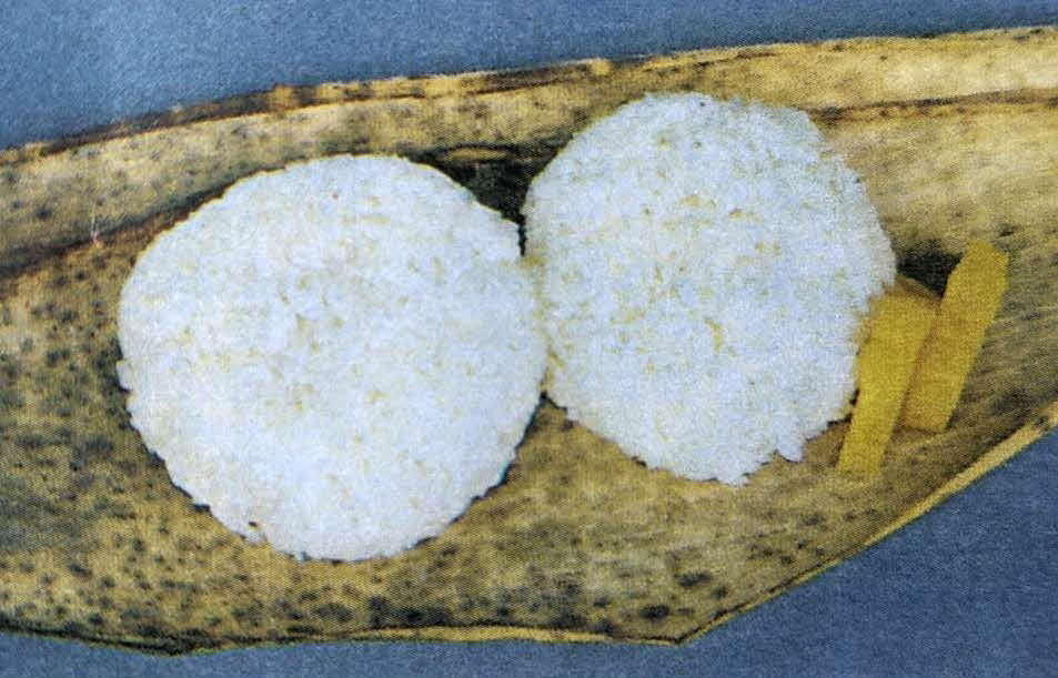 竹の皮に包んだオニギリの駅弁