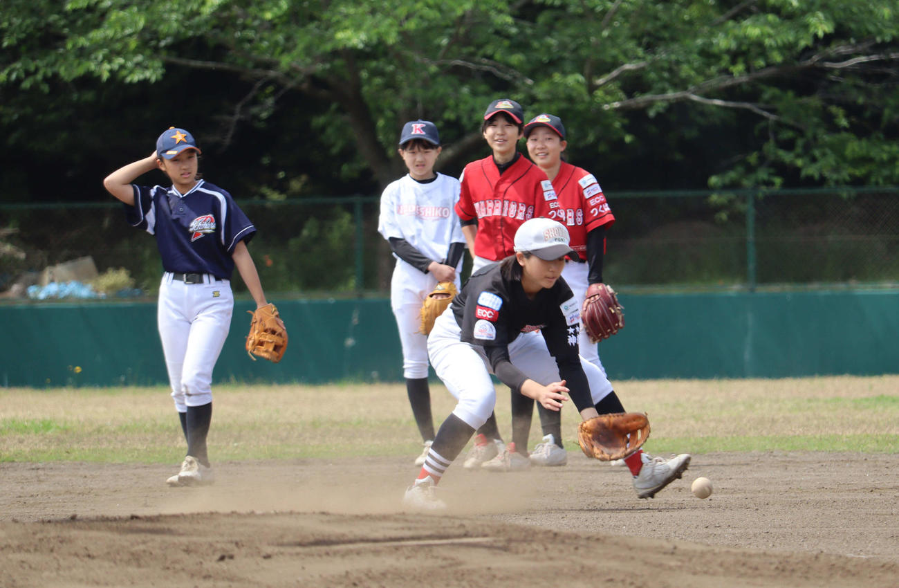 練習会でノックを受ける女子選手たち
