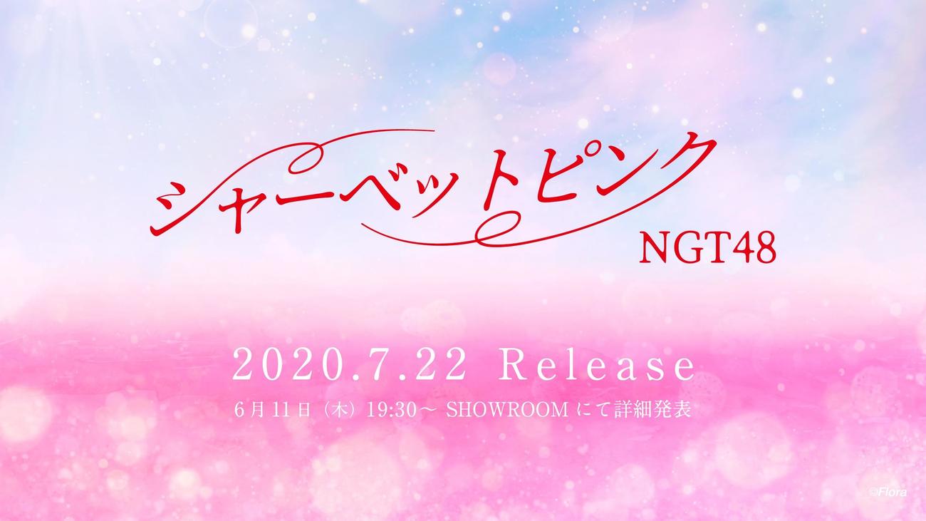 1年9カ月ぶりのシングル発売が決まったNGT48