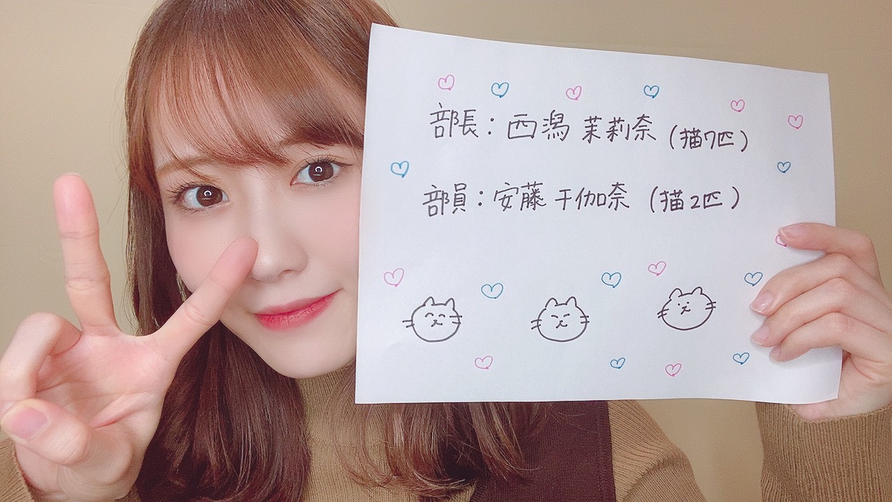 「目指せ公認！！◯◯部を作りたい！！」紙上プレゼン大会で「ねこ部」をアピールする西潟茉莉奈（c）Flora