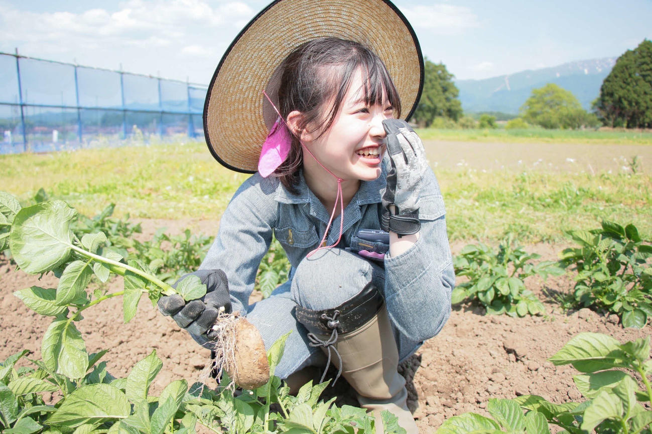 育てた野菜を収穫する小越春花
