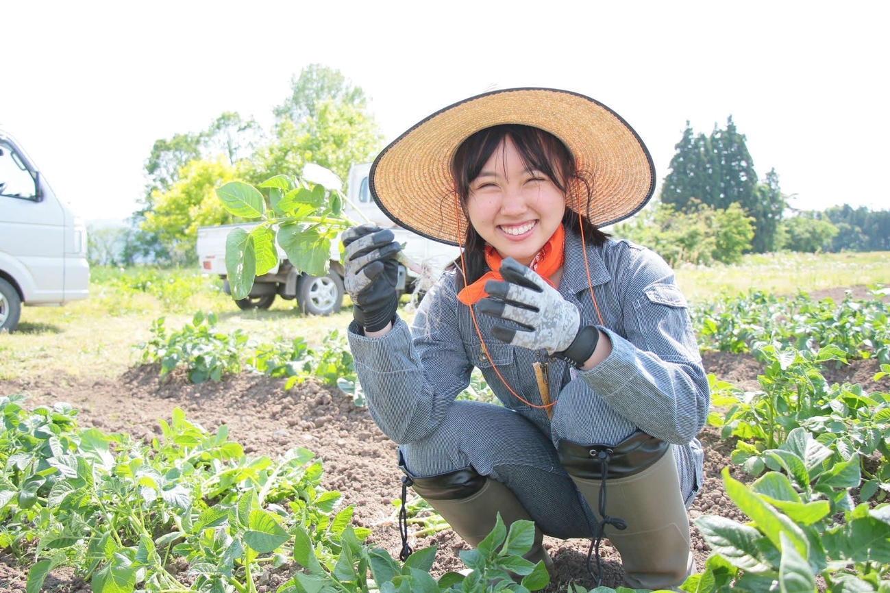 育てた野菜を収穫する古舘葵