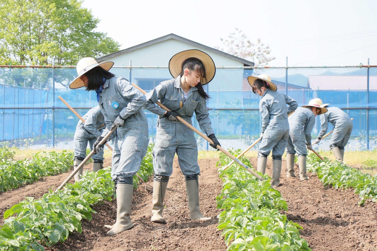 一から農作業を行ったNGT48「ちっちゃいもんくらぶ」