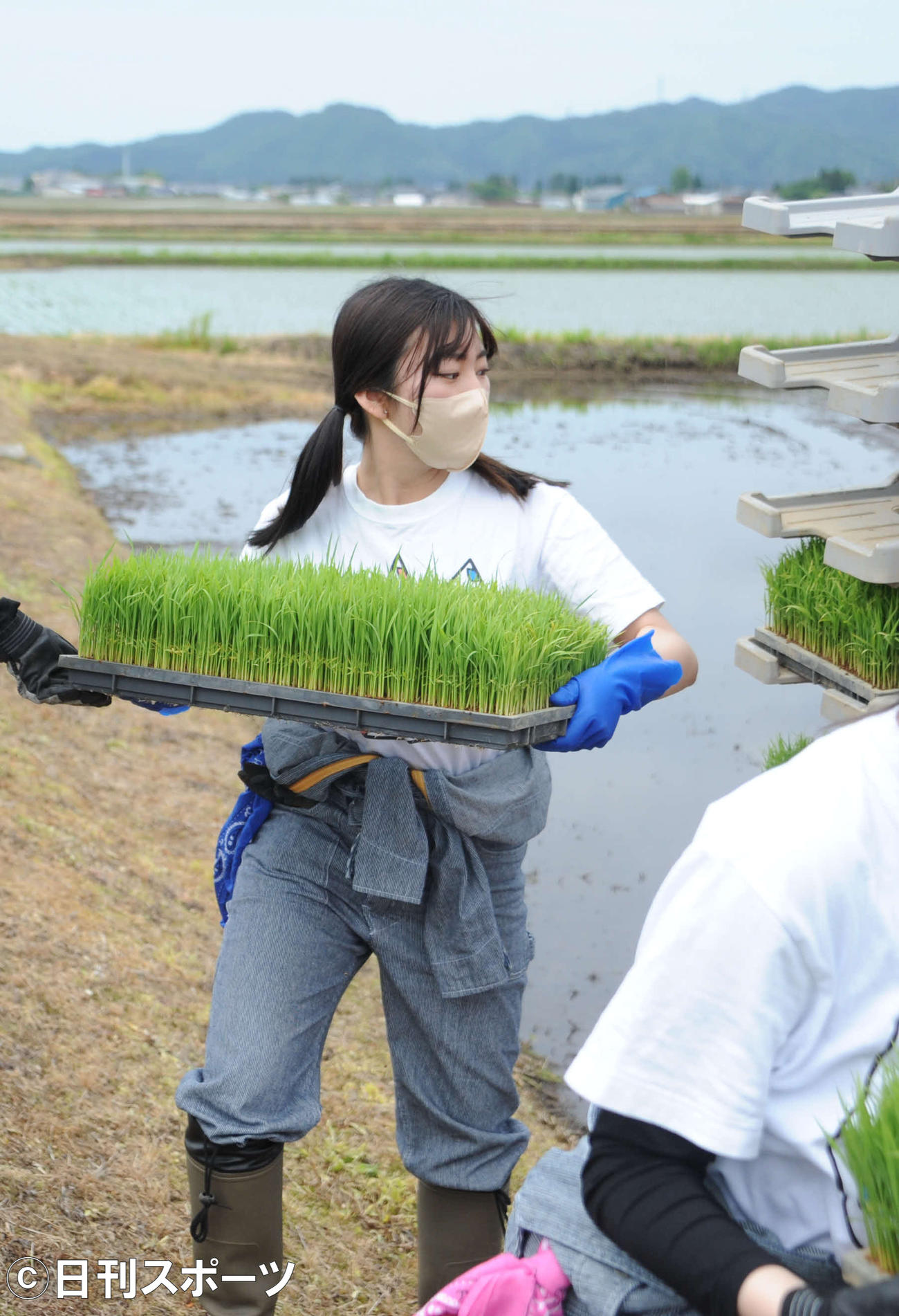 苗を田植え機に運ぶ寺田
