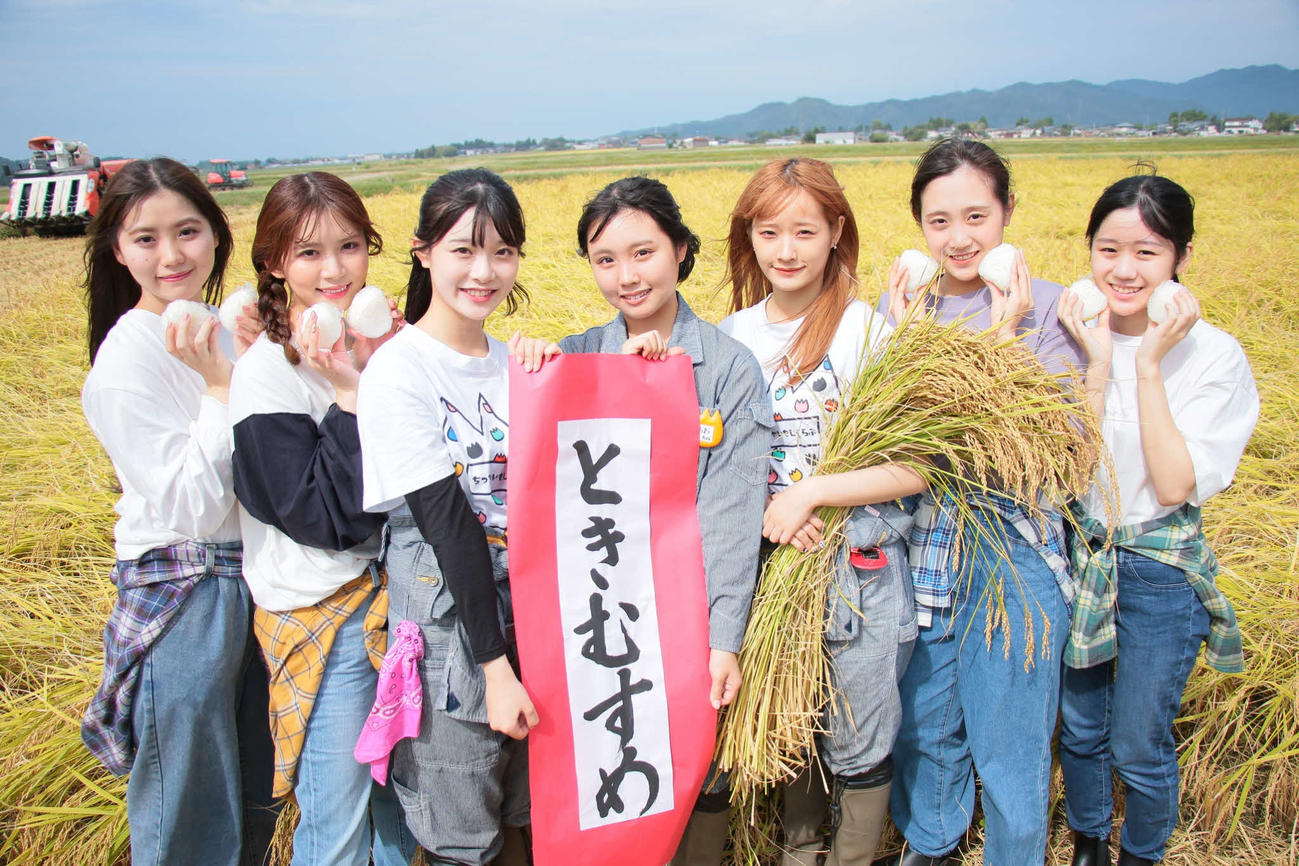 「農業プロジェクト2022」で稲刈りを行い「ときむすめ」と名付けたNGT48。左から小熊倫実、奈良未遥、小越春花、古舘葵、諸橋姫向、木本優菜、水津菜月（C）Flora
