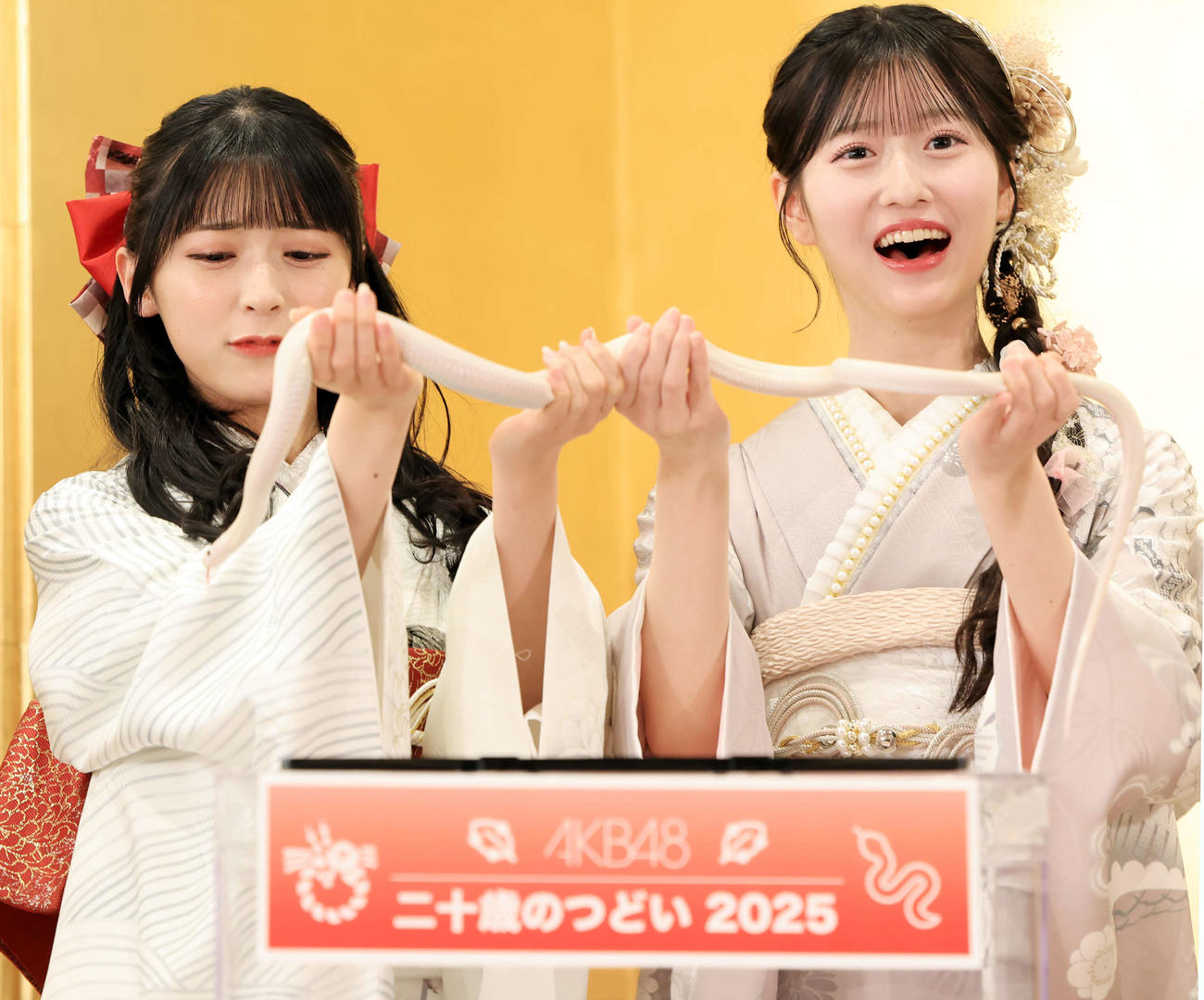 「AKB48二十歳のつどい」で、″特別ゲスト″の白蛇ハクくんをこわごわと持ち上げる佐藤綺星（左）と八木愛月（撮影・浅見桂子）