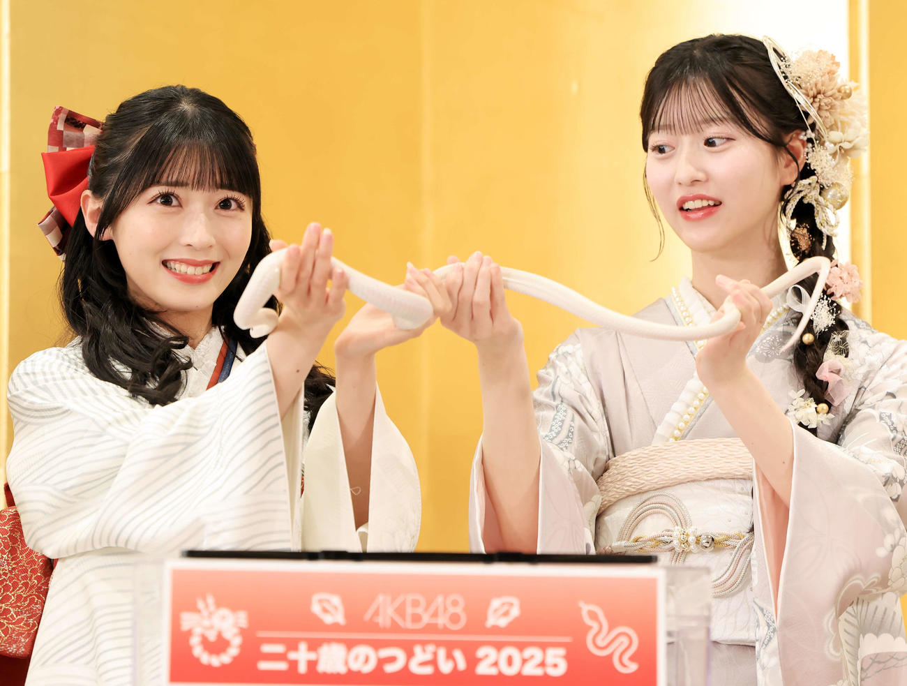 「AKB48二十歳のつどい」で、″特別ゲスト″の白蛇ハクくんをこわごわと持ち上げる佐藤綺星（左）と八木愛月（撮影・浅見桂子）