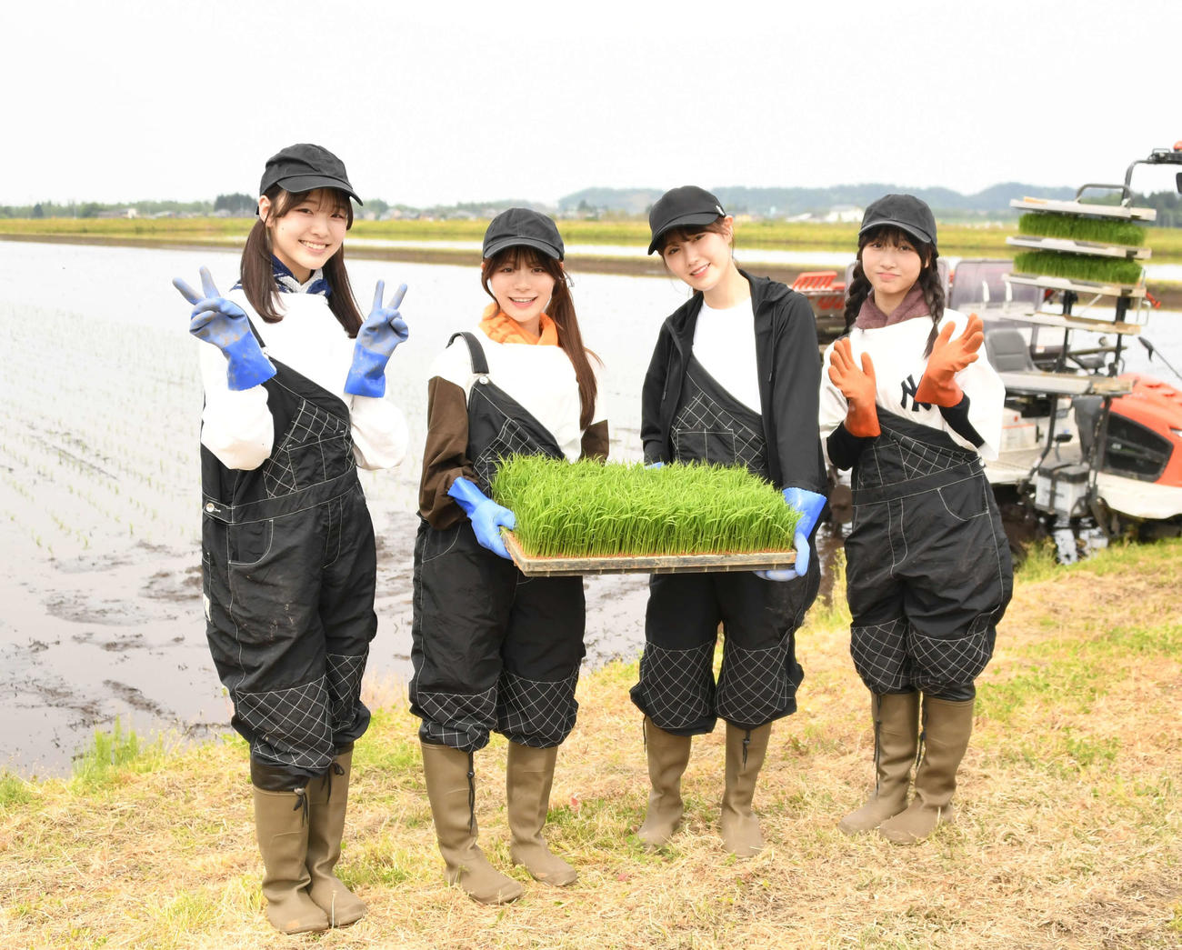 田植えを行ったNGT48のメンバー。左から杉本萌、清司麗菜、西潟茉莉奈、北澤百音