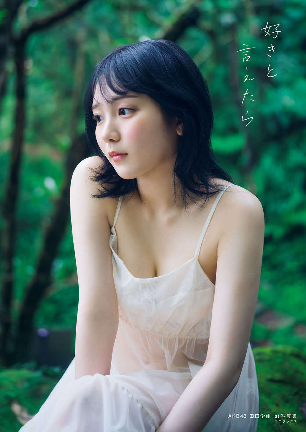 AKB48田口愛佳ファースト写真集「好きと言えたら」のワニブックス通販限定版カバー（藤原宏氏撮影　ワニブックス刊）