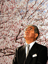 映画製作発表会見で石原慎太郎東京都知事は、スクリーンの桜の写真を見上げる