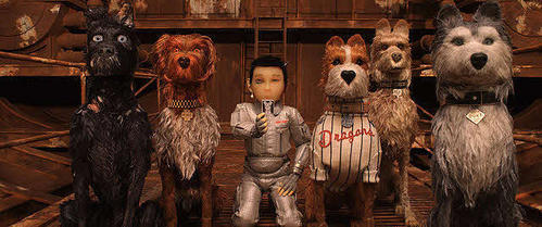 「犬ヶ島」の1場面(C)2018 Twentieth Century Fox Film Corporation
