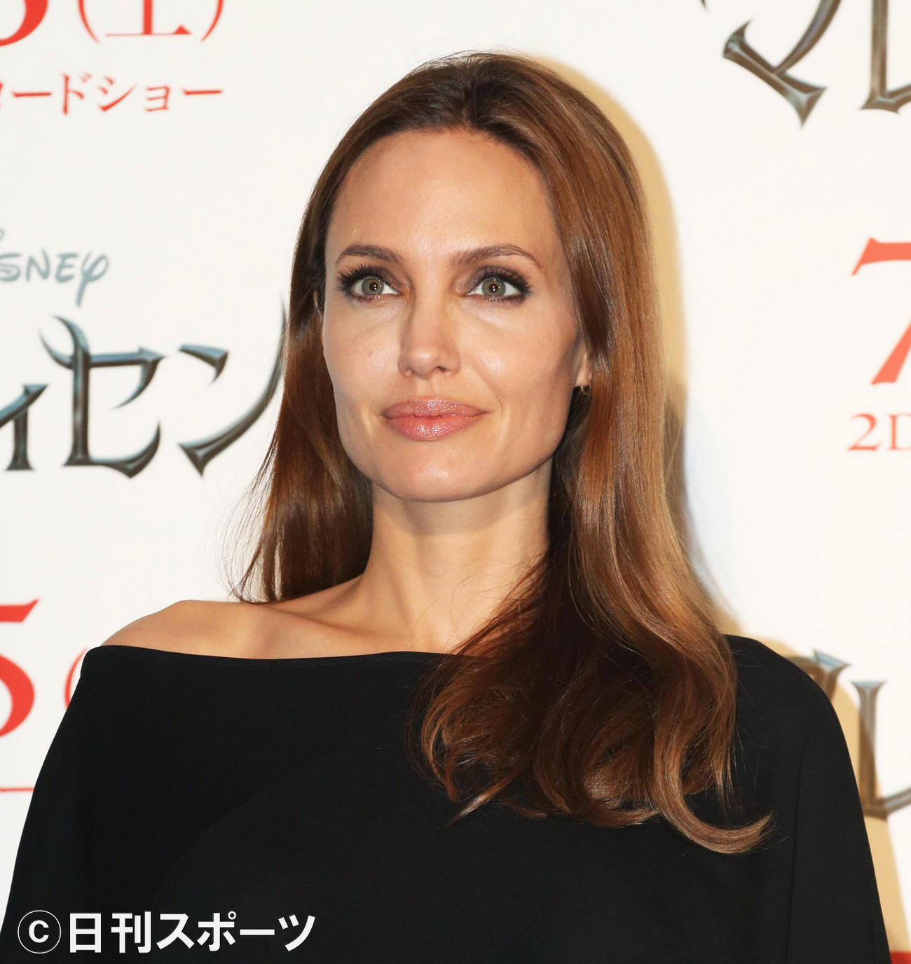 アンジェリーナ・ジョリー（14年撮影）