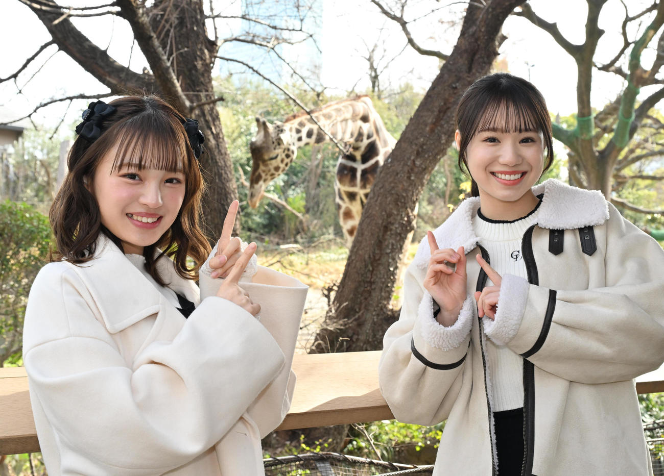 キリンを指さす、左からNMB48新澤菜央、水田詩織（撮影・石井愛子）