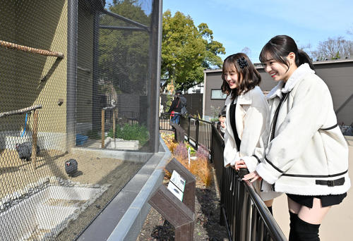 動物を見つめる、左からNMB48新澤菜央、水田詩織(撮影・石井愛子)