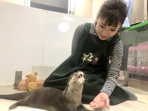 カワウソカフェで笑顔を見せる藤井香愛