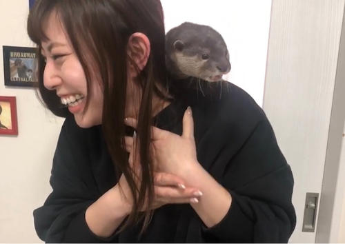 大好きなカワウソとじゃれ合う藤井香愛