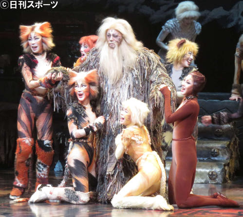 13年ぶり4度目となる「キャッツ」大阪公演の公開げいこに登場した猫たち（撮影・村上久美子）