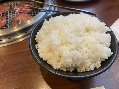 焼肉に行って調子に乗ってライス大を頼みました。余裕でした。