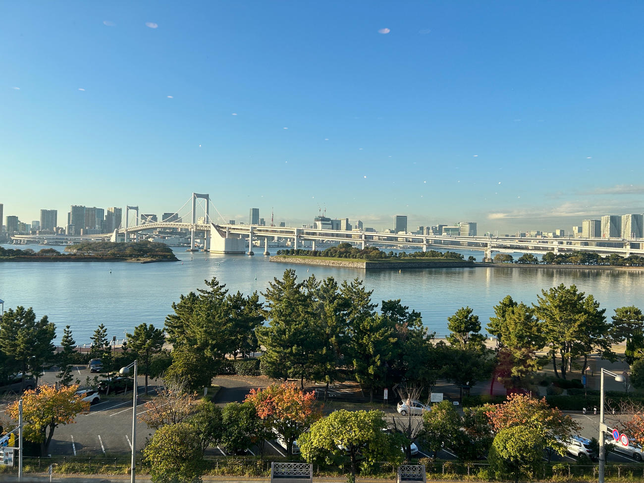 窓越しに見た景色があまりにも綺麗だったので。