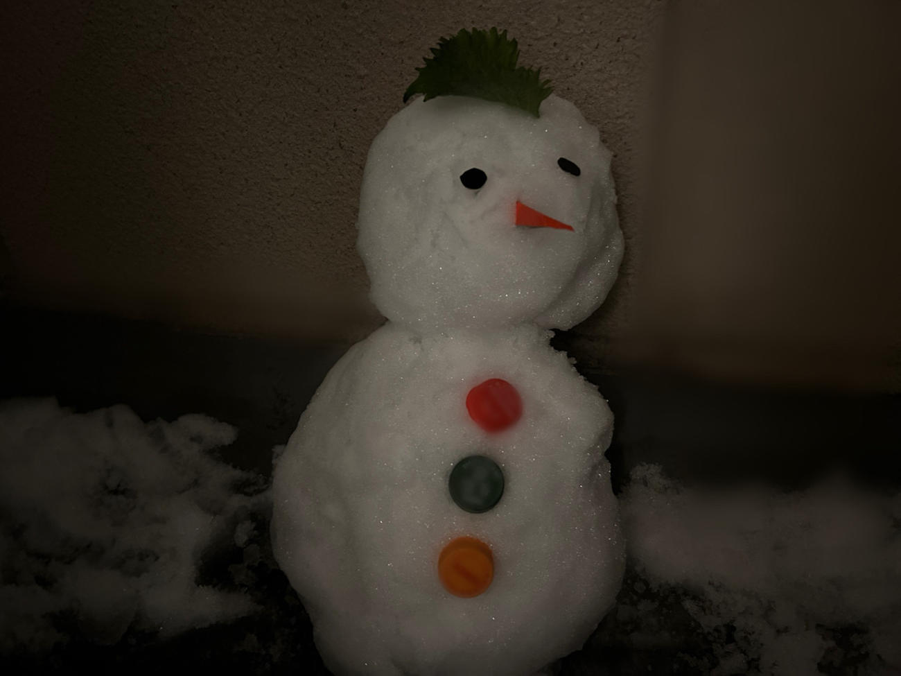 雪、わりと積もってました。