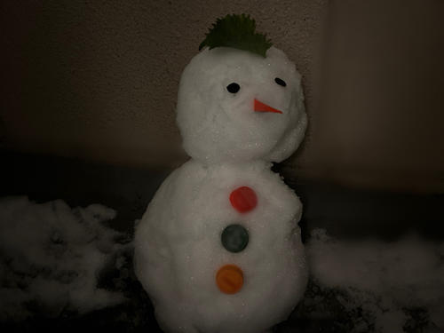 雪、わりと積もってました。