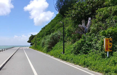 瀬長島にあった「カニ注意」の標識。かつて沖縄自動車道にあった「流れ弾注意」以来の衝撃がはしった