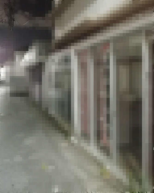 かつて売春店が密集した某エリアは現在、全域に空き屋が連なり“ゴーストタウン”のような雰囲気が漂っていた