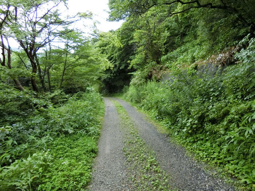 この林道を奥に進んでいくと、衝撃＆驚愕の光景が…