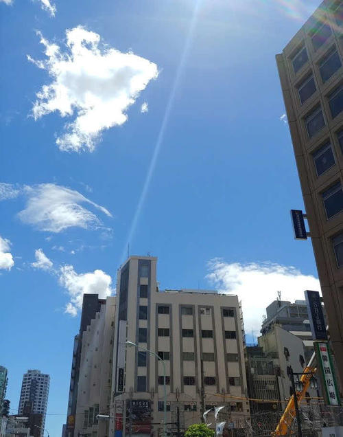新宿では午前中、強烈な太陽光線とともに久しぶりの「夏空」に。そういえばNHK朝ドラ「なつぞら」の未視聴録画が直近34話分くらいたまっていることを思い出した。本日中に、うち10話見ることが目標