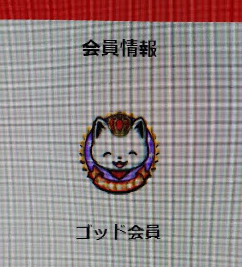 「ゴッド会員」の称号。この半年間で得た最大級の達成感と言えるが、逆に「いつゴッドから転落するか分からない」という恐怖との闘いもエンドレスに始まっている