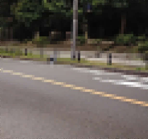 午前2時半ごろ、都心幹線道路の路上に座り込み、あたりに響き渡るすさまじい大声で絶叫を続けていた女性がいた現場
