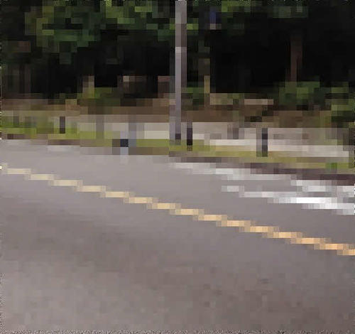 午前2時半ごろ、都心幹線道路の路上に座り込み、あたりに響き渡るすさまじい大声で絶叫を続けていた女性がいた現場