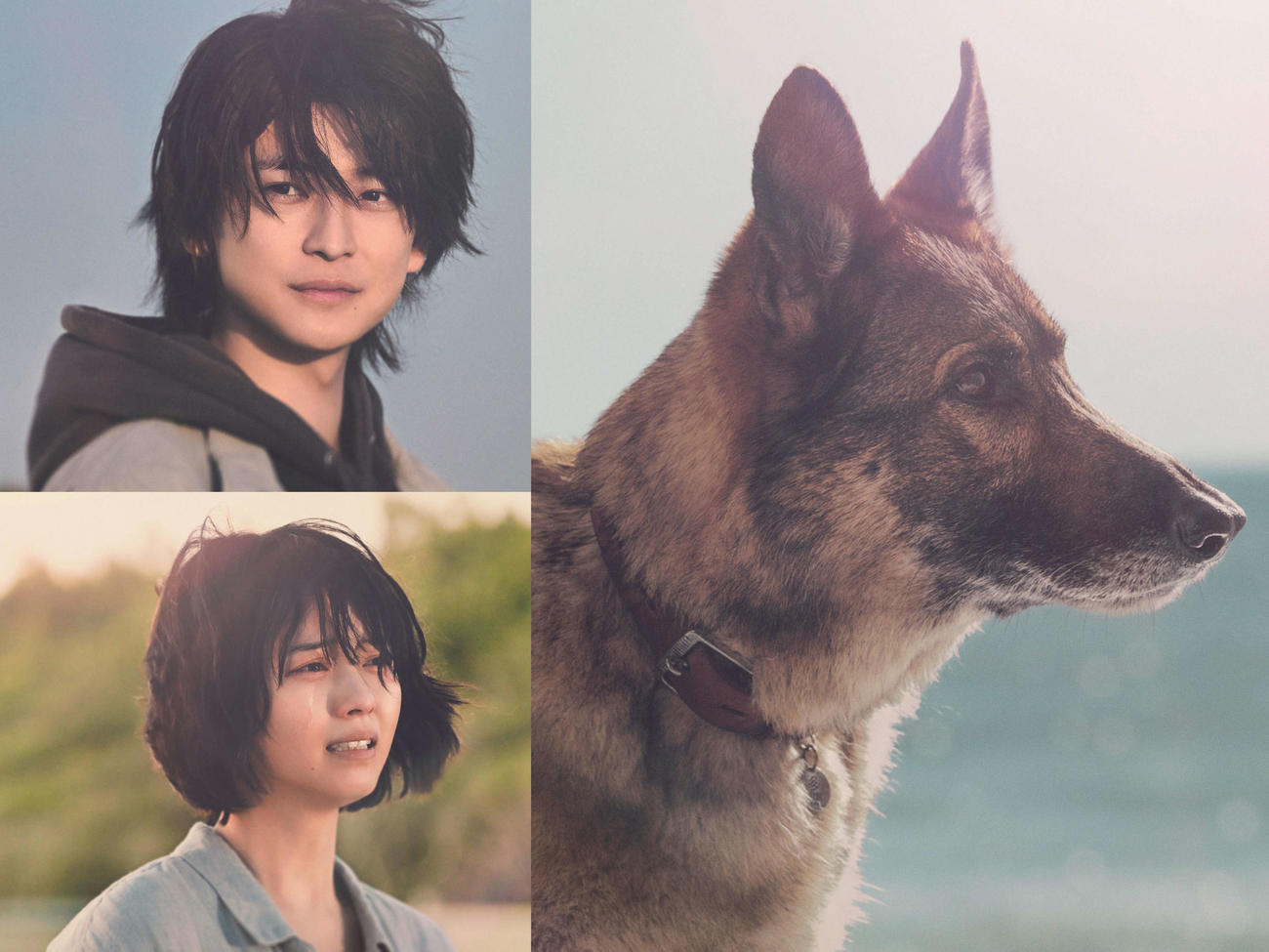 （C）2025　映画「少年と犬」製作委員会