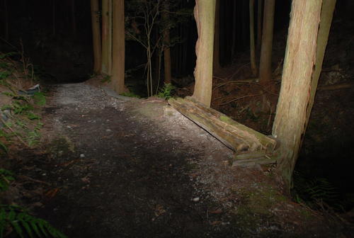 飯森裕次郎容疑者が横たわっていた山中のベンチの周辺は真っ暗（撮影・松浦隆司）