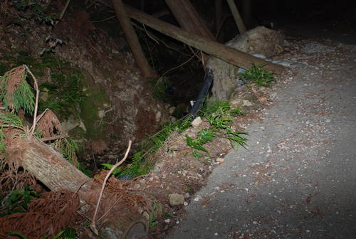 箕面市外院3丁目から北へ延びる「ウツギ谷林道」には何カ所も倒木がある（撮影・松浦隆司）