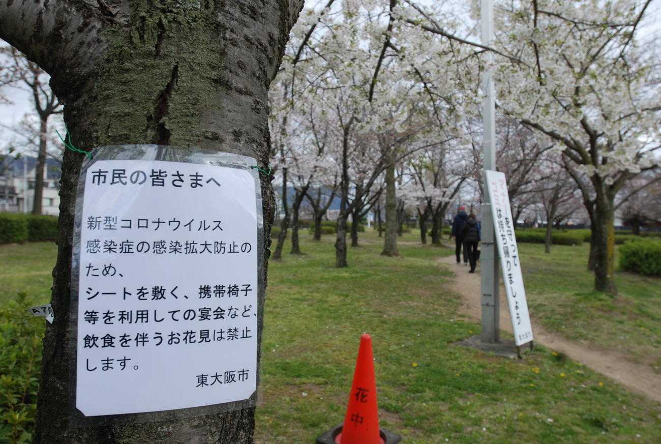 昨春の花見シーズン、東大阪市の花園中央公園の桜の木には「飲食を伴う花見は禁止」を伝える貼り紙（撮影・松浦隆司）