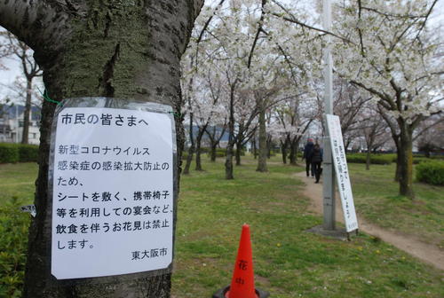昨春の花見シーズン、東大阪市の花園中央公園の桜の木には「飲食を伴う花見は禁止」を伝える貼り紙（撮影・松浦隆司）