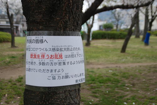 今春の花見シーズン、東大阪市の花園中央公園の桜の木には「飲食を伴う花見はお控え下さい」の貼り紙（撮影・松浦隆司）