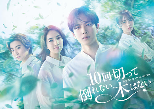 日曜ドラマ「10回切って倒れない木はない」（C）NTV