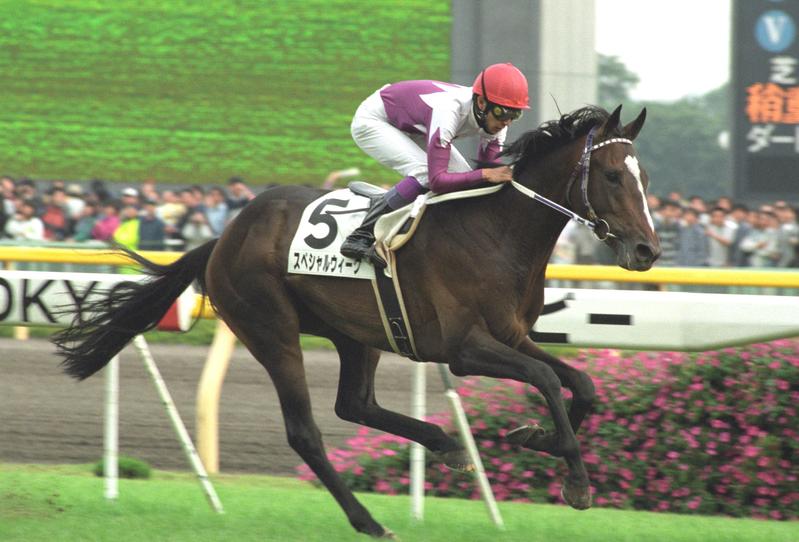 和氣あず未がウマ娘ーで縁のスペシャルウィーク追悼 - 芸能 : 日刊スポーツ