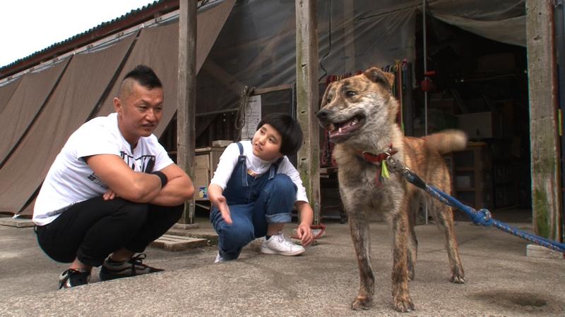 親子芸人完熟フレッシュ、人生初の犬の飼育に挑戦 - 芸能 : 日刊スポーツ