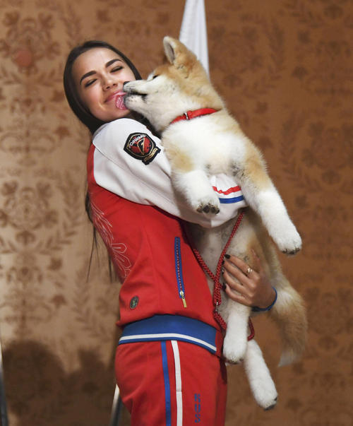 贈呈された秋田犬の子犬に顔をなめられるアリーナ・ザギトワ選手（共同）