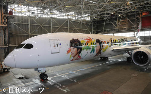 嵐のメンバーが描かれた「ARASHI　HAWAII　JET」の特別塗装機（撮影・丹羽敏通）