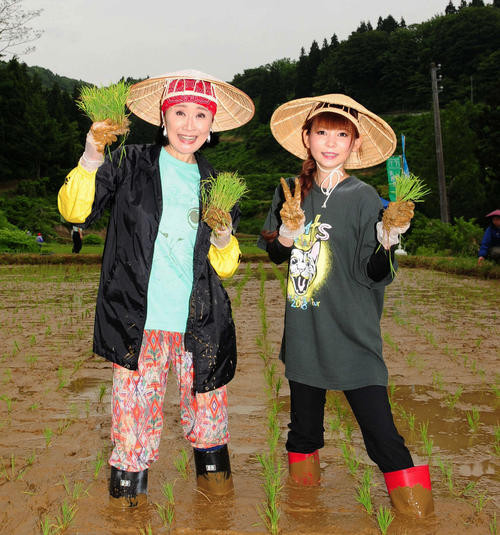 旧山古志村の水田で田植えを行った演歌歌手小林幸子（左）とタレント中川翔子（2019年5月31日撮影）