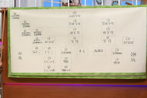 日本テレビ系特番「はじめまして！一番遠い親戚さん」で紹介される家系図