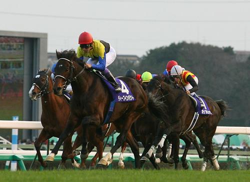 ラストラン。06年12月24日の有馬記念で有終を飾った